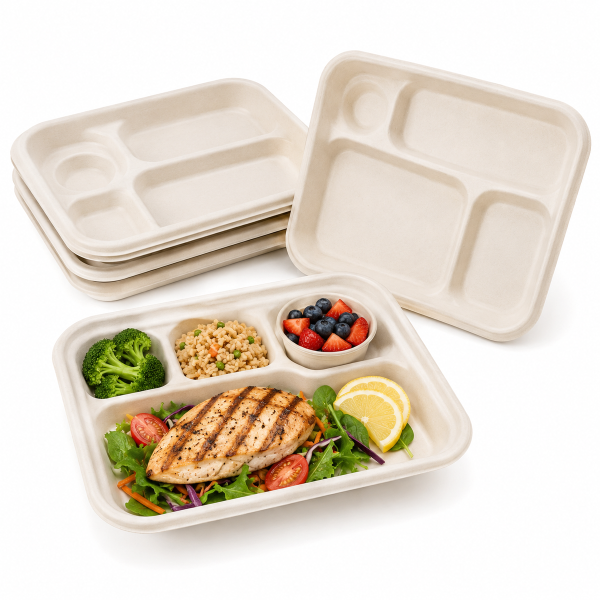 lunch Trays