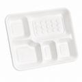 5 Compartment Bagasse Deep Meal Tray