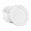 10" Compostable Bagasse Round Plate, White [500/Case]